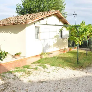 La Vite Sul Tetto Casa vacanze Agugliano